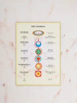 New GAZELL01 Chakras A4