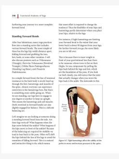Sale HARPER01 Functional Anatomy of Yoga