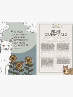 Discount ABRAMC01 Mystic Kitty - A cat's guide to meditaion