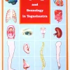 Online YOGMUM01 Organology & Sensology in Yogashastra