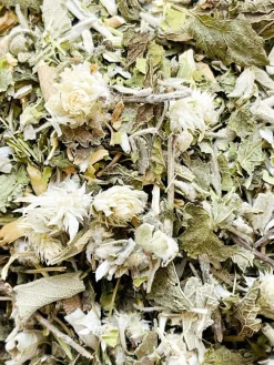 Hot PARIGO01 Parigotte Adaptogen Tea - Unwind
