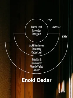 Discount CANDLE01 P.F. Candle Co. 7.2oz Alchemy Candle - Enoki Cedar