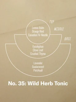 Sale CANDLE01 P.F. Candle Co. 7.2oz Soy Candle - Wild Herb Tonic