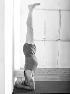 Outlet EYALSH01 Props for Yoga Volume 3: Inverted Asanas