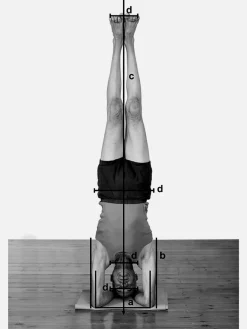 Outlet EYALSH01 Props for Yoga Volume 3: Inverted Asanas