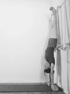 Outlet EYALSH01 Props for Yoga Volume 3: Inverted Asanas