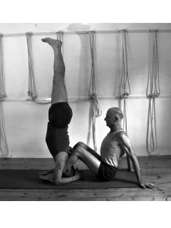 Outlet EYALSH01 Props for Yoga Volume 3: Inverted Asanas