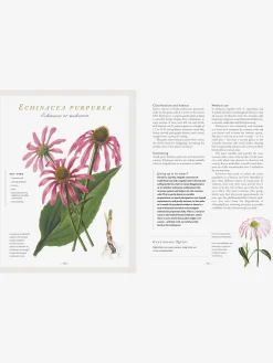 ABRAMC01 The Healing Herbal : Ancient and Modern Medicinal Plants