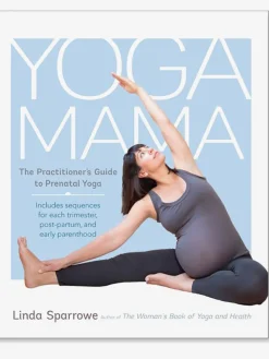 Online GBS&TB01 Yoga Mama: the Practitioner's Guide to Prenatal Yoga